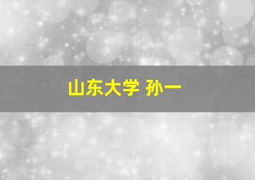 山东大学 孙一